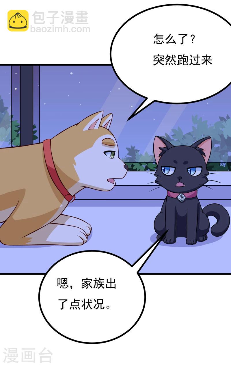 《在下铲屎官喵王在上》第85话 逮到你们了！ 第32页