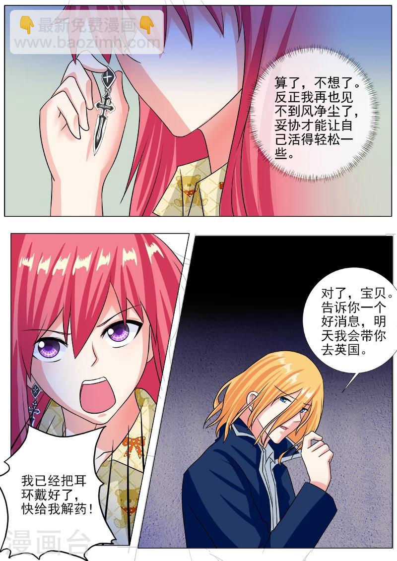 《我的男友风净尘》第241话 主动戴上耳环 第7页