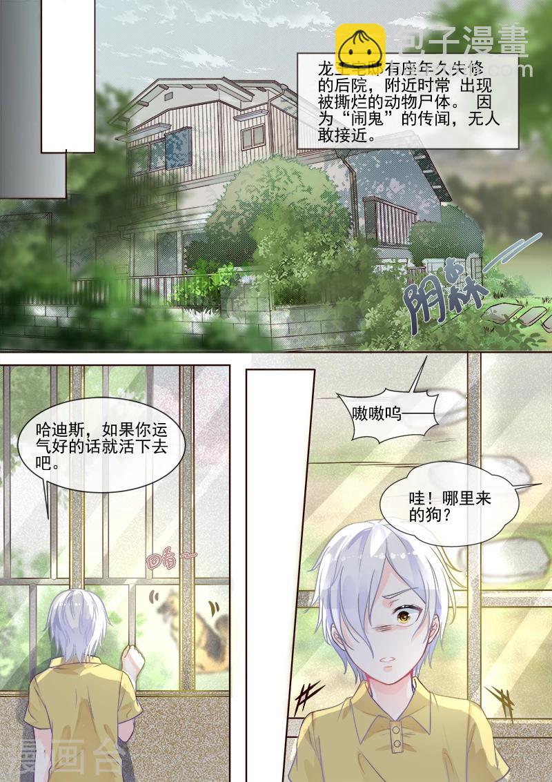 《我的男友风净尘》第333话 想要活下去 第3页