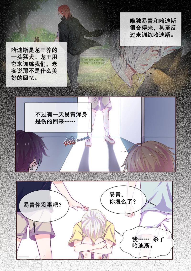 《我的男友风净尘》第337话 龙睿的挑衅 第6页