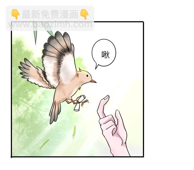 《女装大佬养成记》38 存在感 第5页