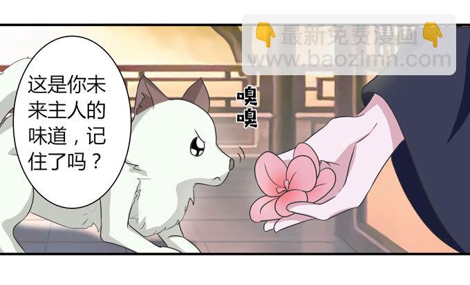 《女装大佬养成记》41 二郎神 第11页