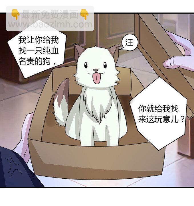 《女装大佬养成记》41 二郎神 第3页