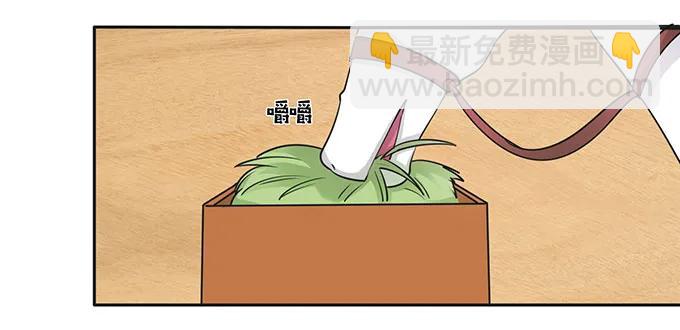 《女装大佬养成记》150 突发意外 第3页