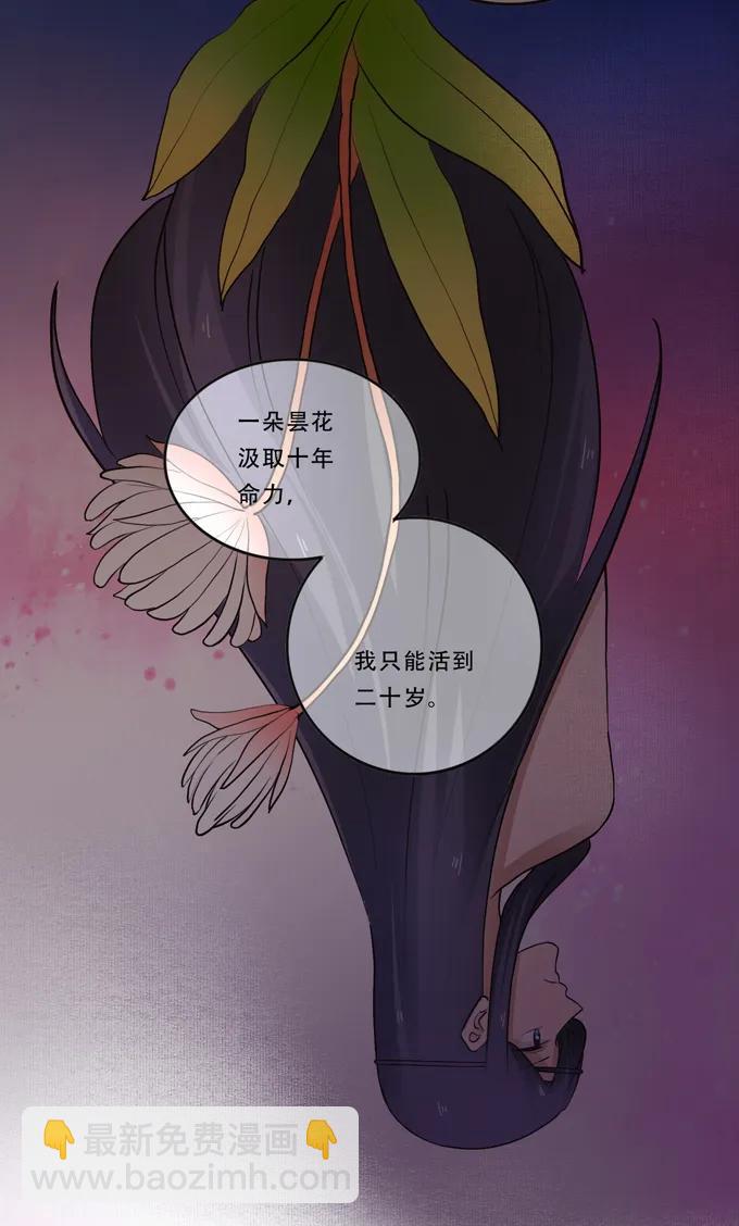 《女装大佬养成记》192 朝露昙华 第23页