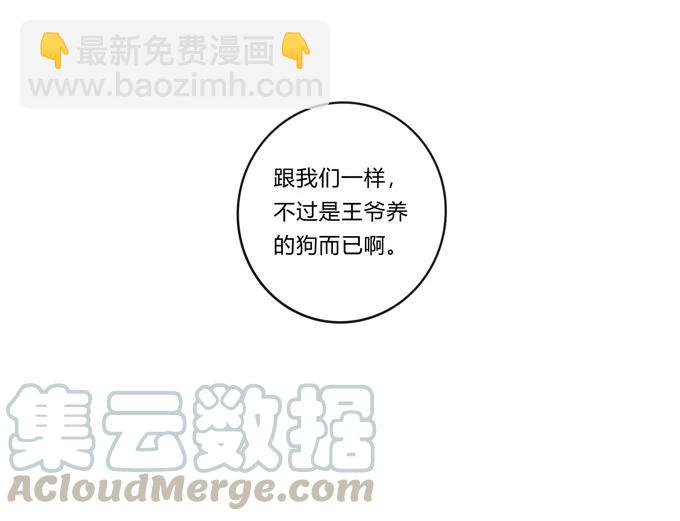 《女装大佬养成记》228 毒和狗 第37页