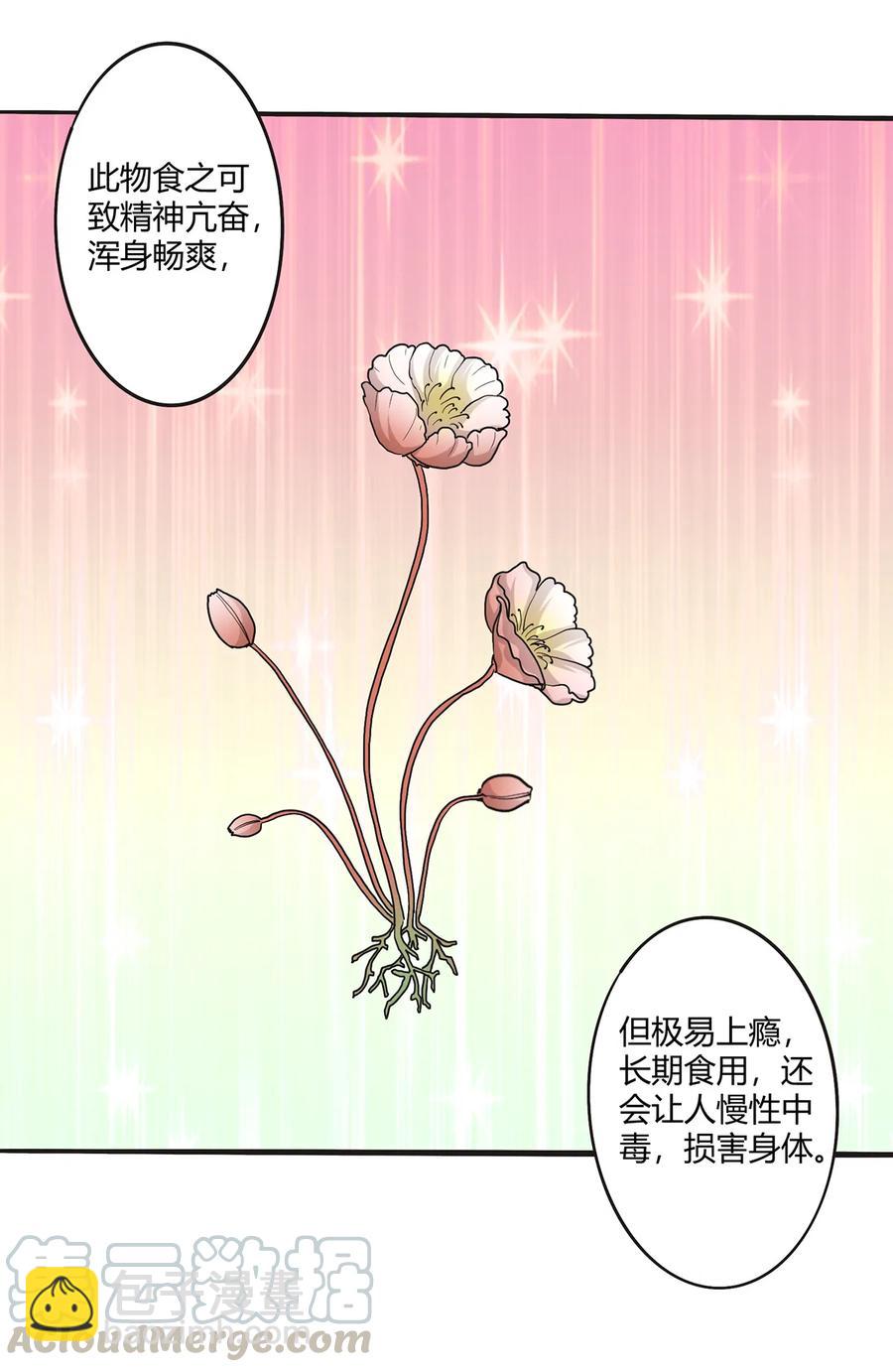 《女装大佬养成记》263 白莲丹 第13页