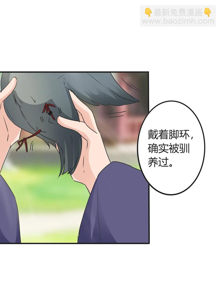 《女装大佬养成记》320 破局 第11页