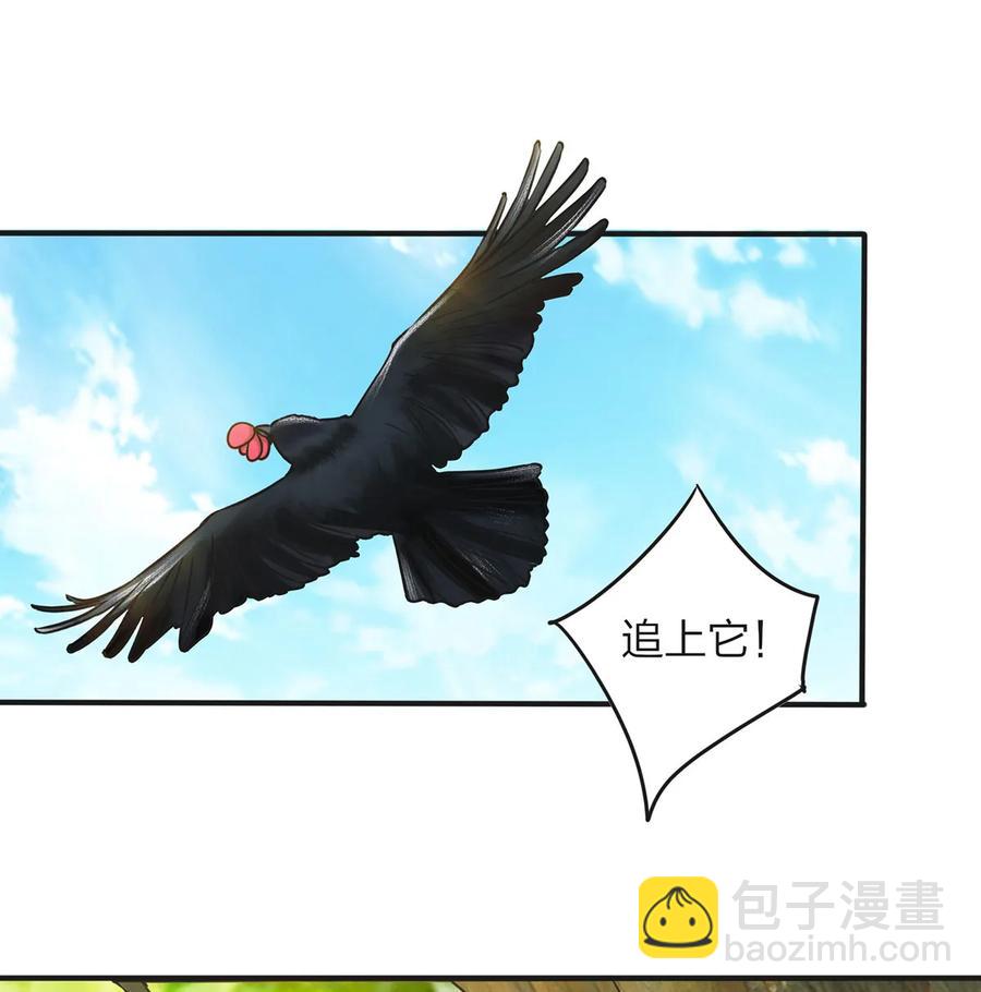 《女装大佬养成记》354 寻找宝盒 第2页