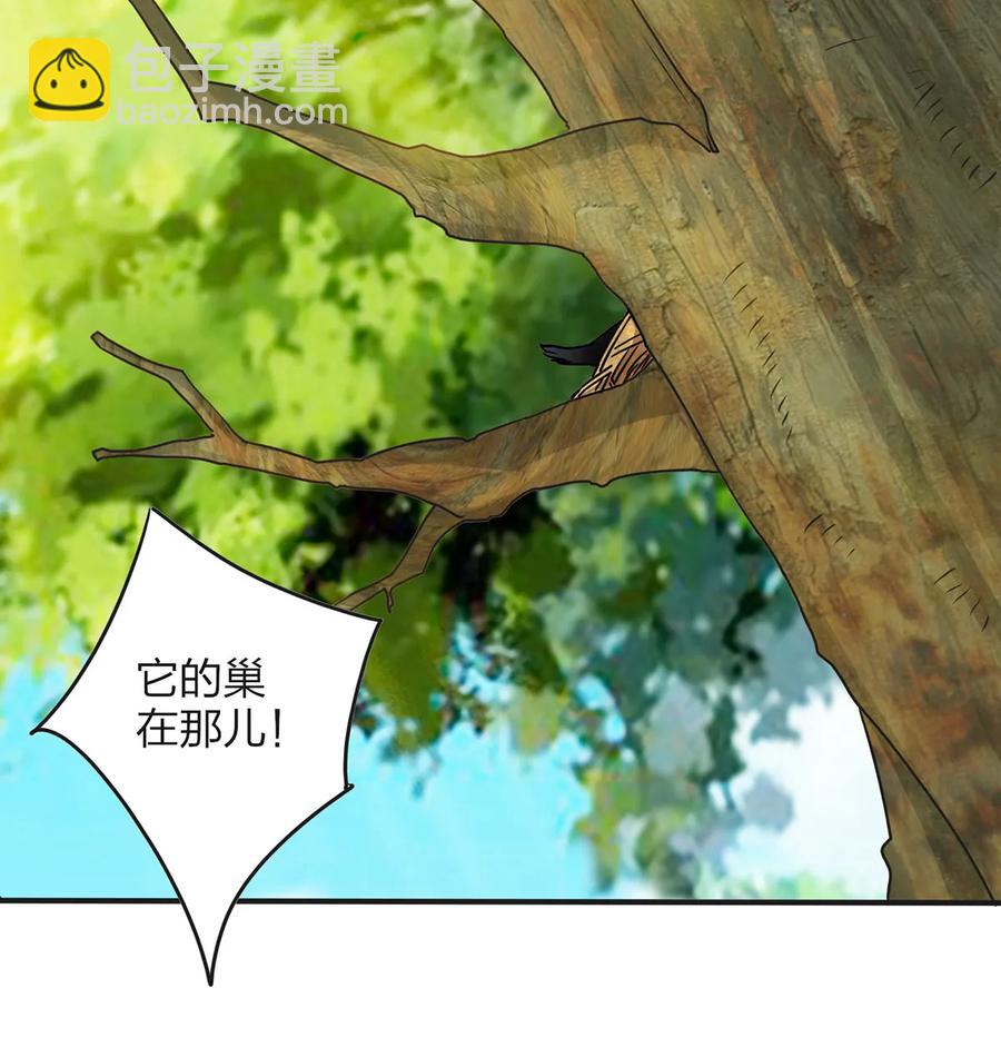 《女装大佬养成记》354 寻找宝盒 第3页