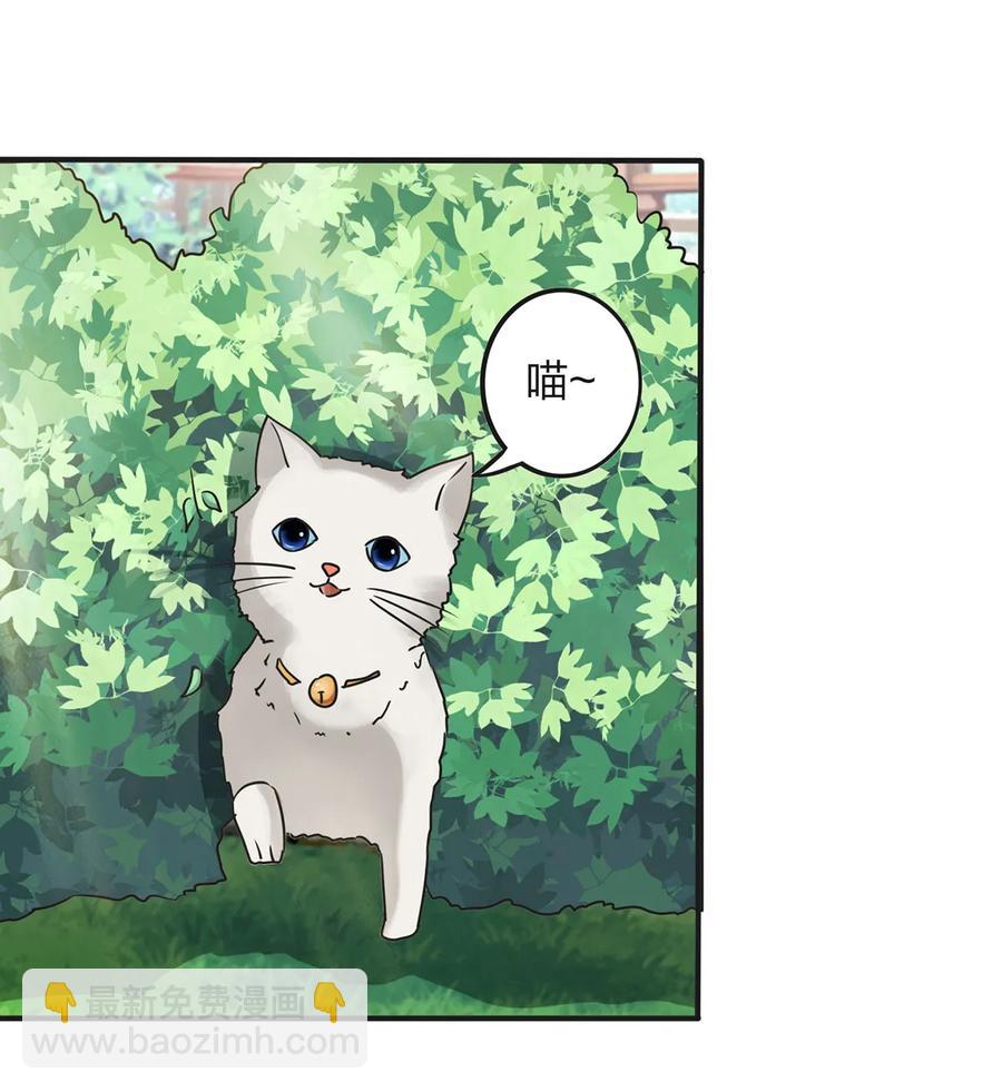 《女装大佬养成记》356 最后一颗宝石 第12页