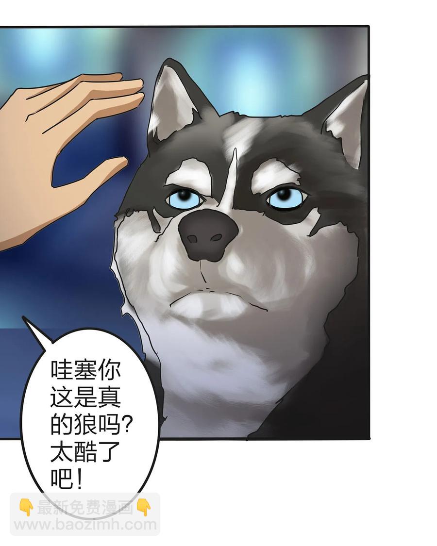 《女装大佬养成记》361 百鬼夜行 第12页