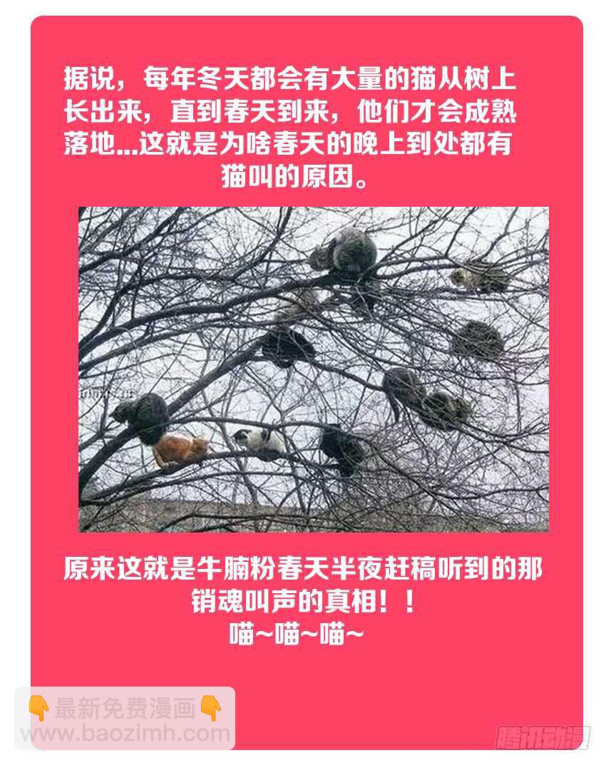 《勇者约吗》第143集 魔王大人 第13页