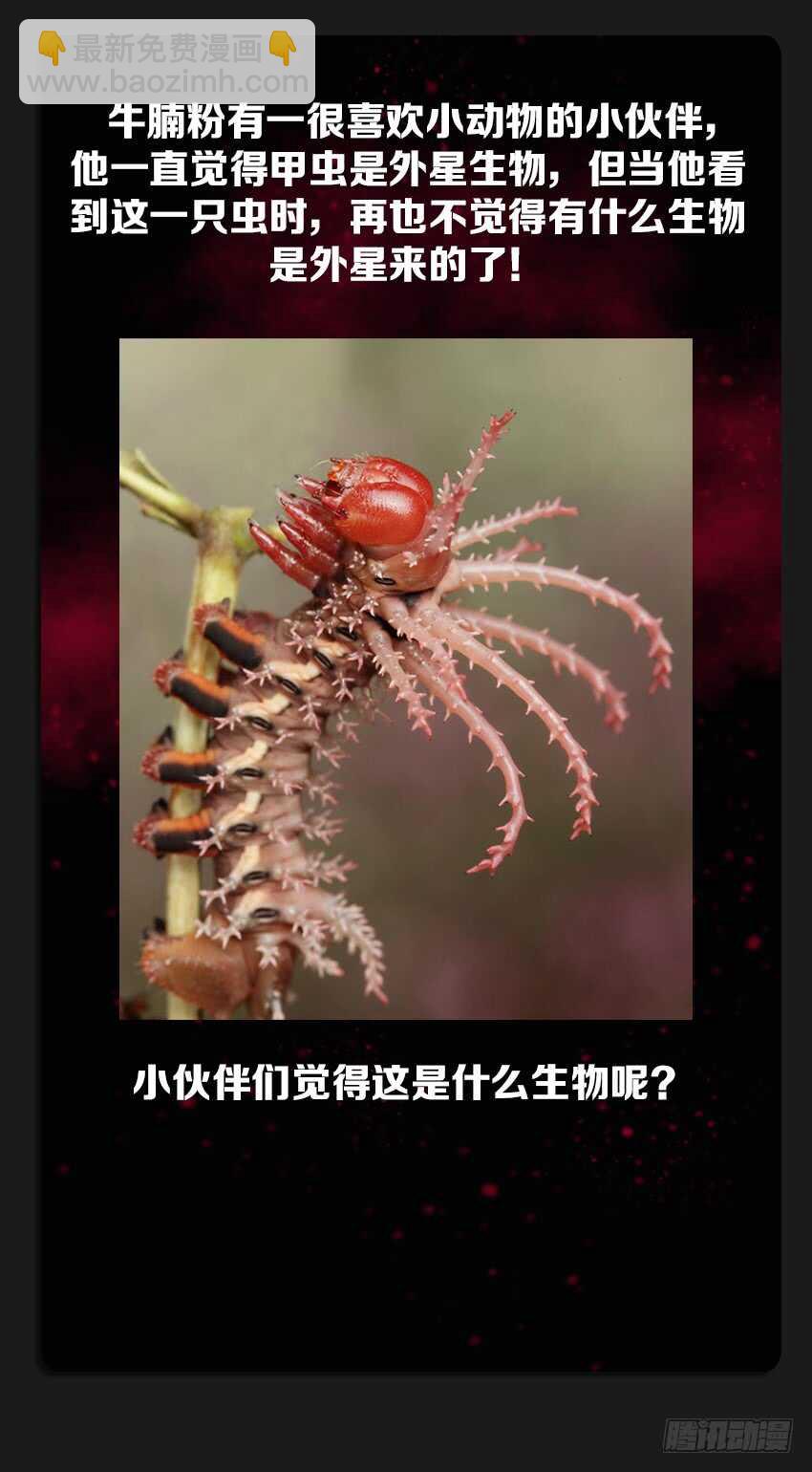 《勇者约吗》第219集 毫无干劲 第13页