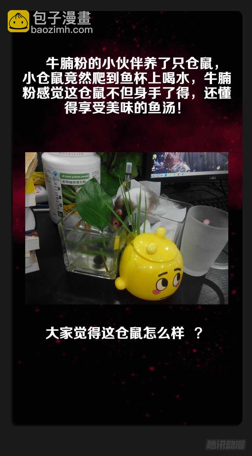 《勇者约吗》第220集 战书 第13页