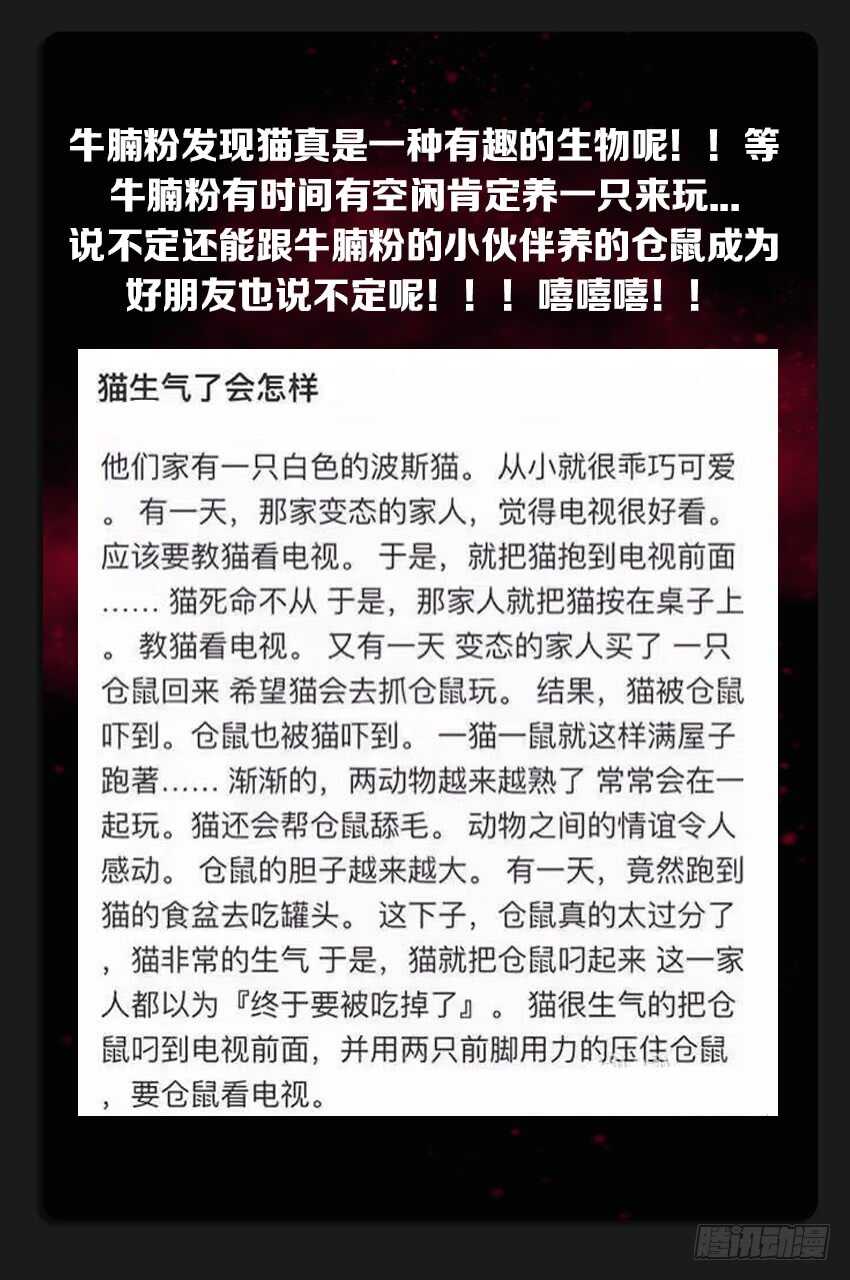 《勇者约吗》第227集 教化魔者 第13页