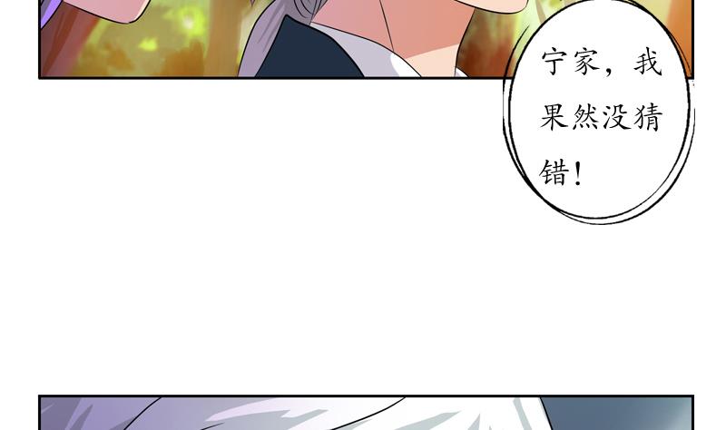 《都市极品仙医》第111话 宁家的手 第13页