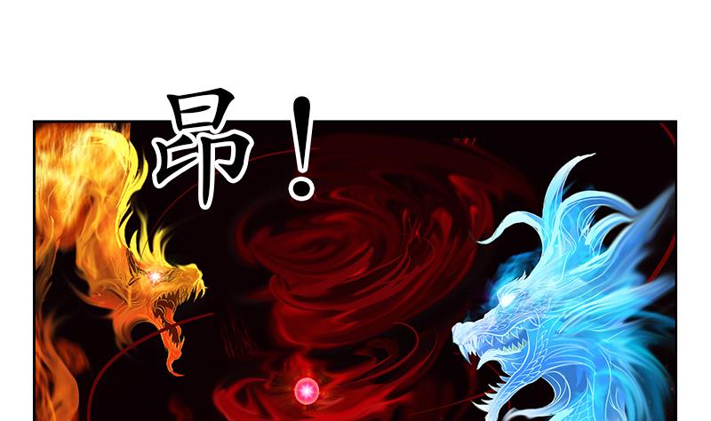 《都市极品仙医》第238话 血龙诀 第29页