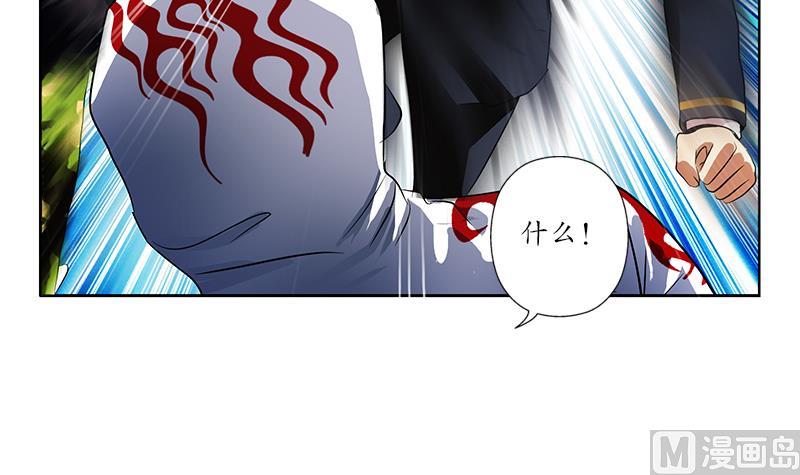 《都市极品仙医》第250话 战白卧虎 第24页