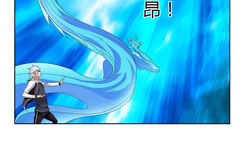 《都市极品仙医》第328话 灵兽 第17页