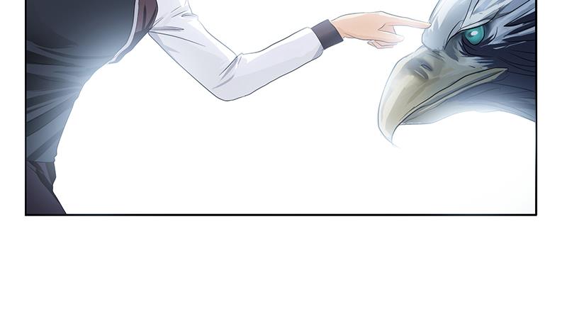 《都市极品仙医》第328话 灵兽 第37页