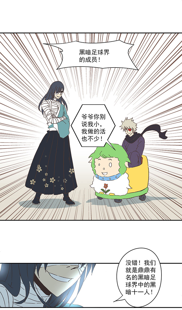 《神之一脚》第一百三十五波黑暗足球界 第29页
