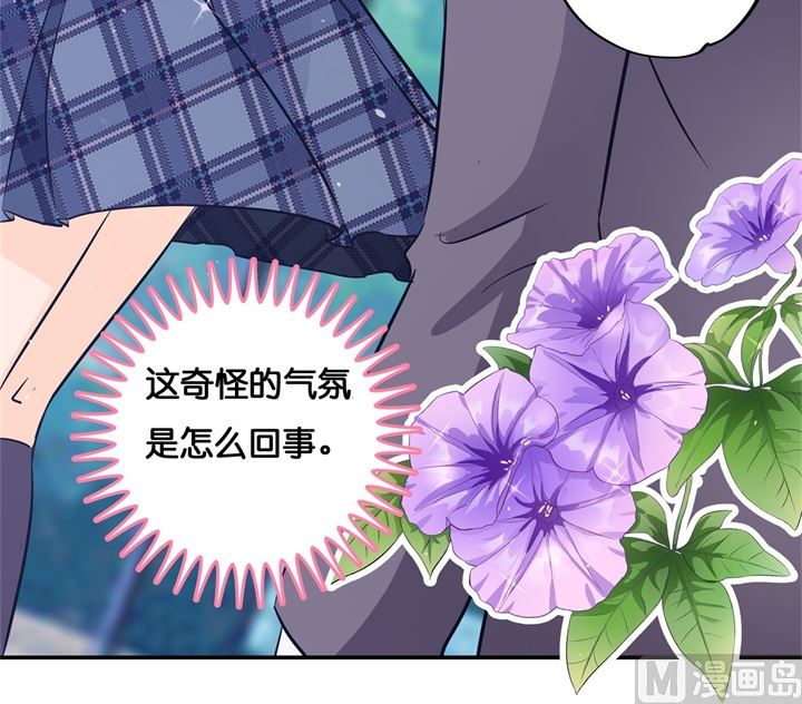 《学霸哥哥别碰我》295 来历不明的好学生 第15页