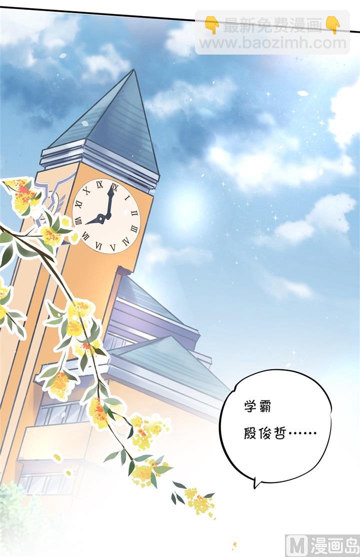 《学霸哥哥别碰我》295 来历不明的好学生 第28页