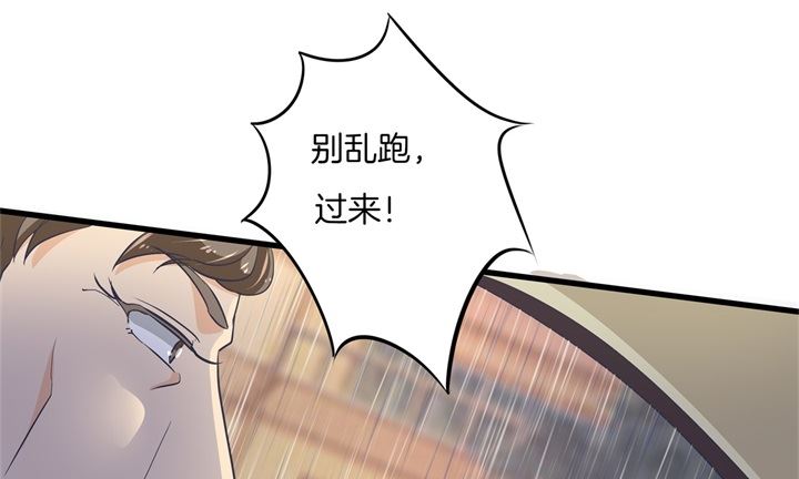 《学霸哥哥别碰我》307 雨天的计谋 第14页