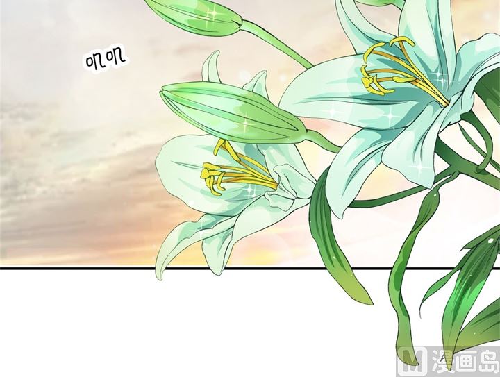 《学霸哥哥别碰我》313 光点凝聚的爱意 第27页