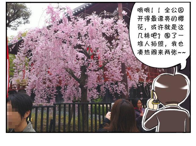 《日在日本》170 上野花见会 第3页