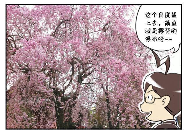 《日在日本》170 上野花见会 第4页