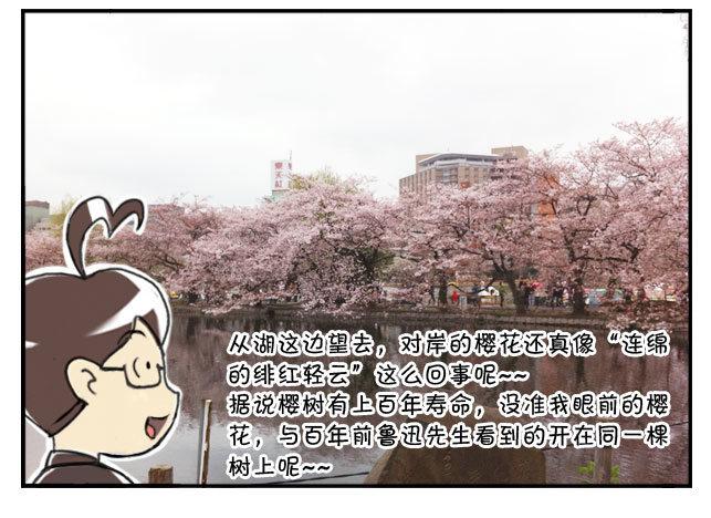 《日在日本》170 上野花见会 第6页
