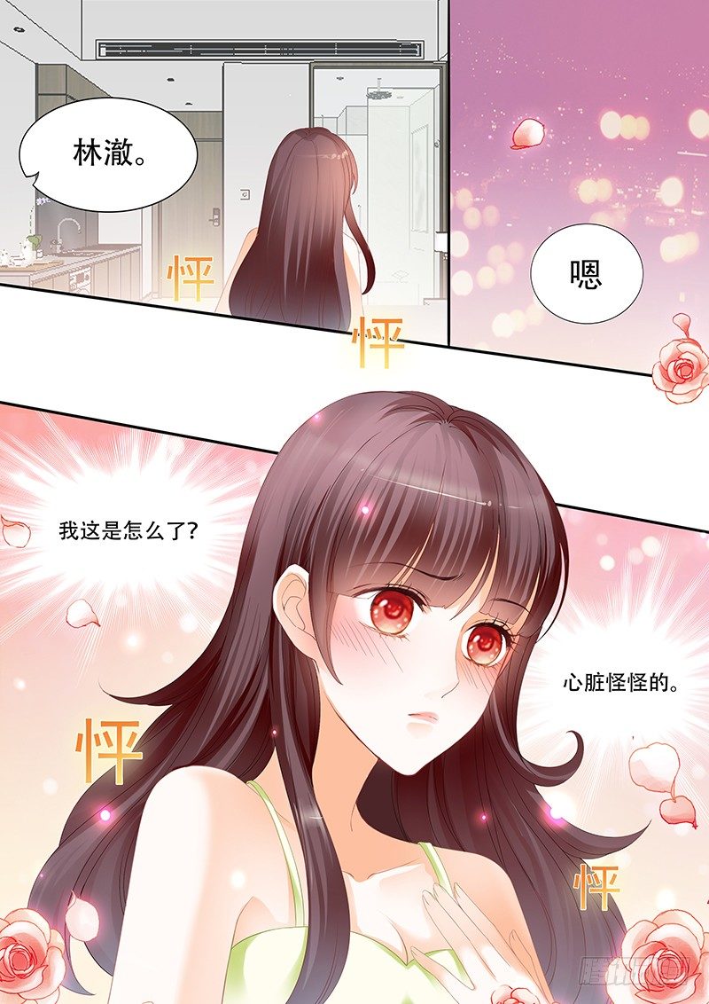 《闪婚娇妻》你不要把气撒在我的身上 第13页