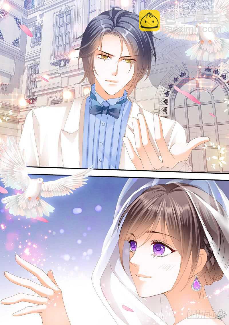 《闪婚娇妻》总统俞姐大婚 第11页
