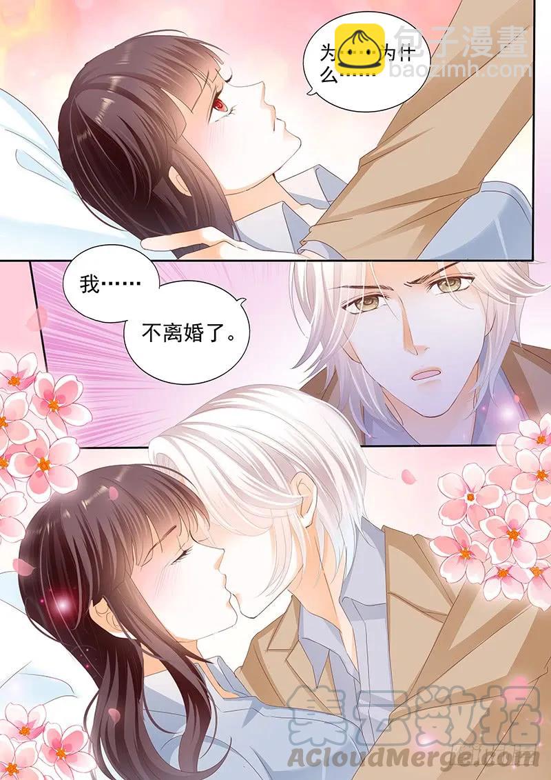 《闪婚娇妻》我不会和你离婚 第13页