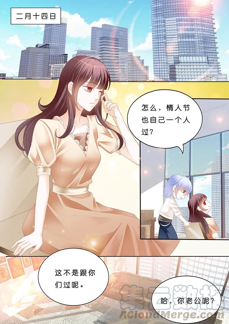 《闪婚娇妻》一个人的情人节 第3页