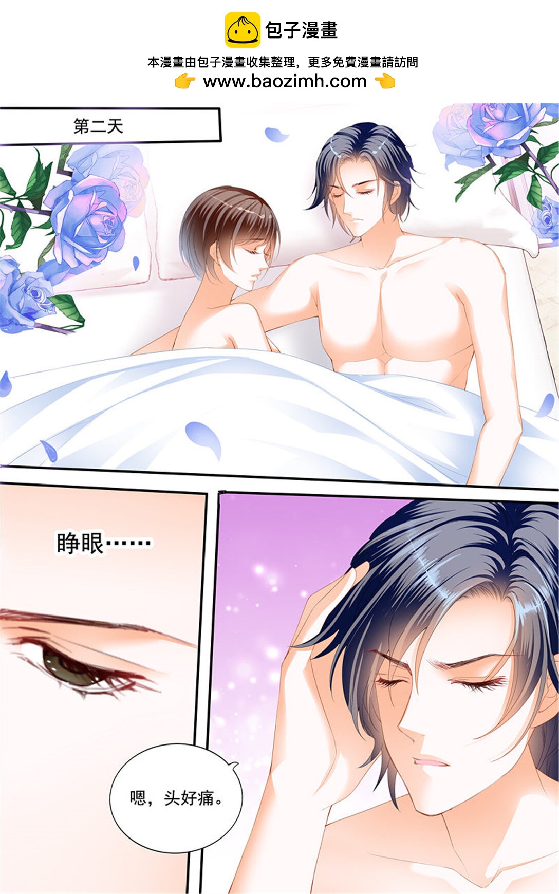 《闪婚娇妻》229 只想要正常的婚姻 第2页