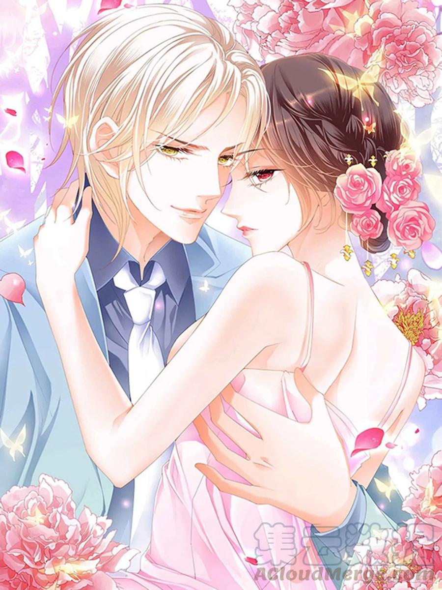 《闪婚娇妻》257 我的心里只有你 第1页