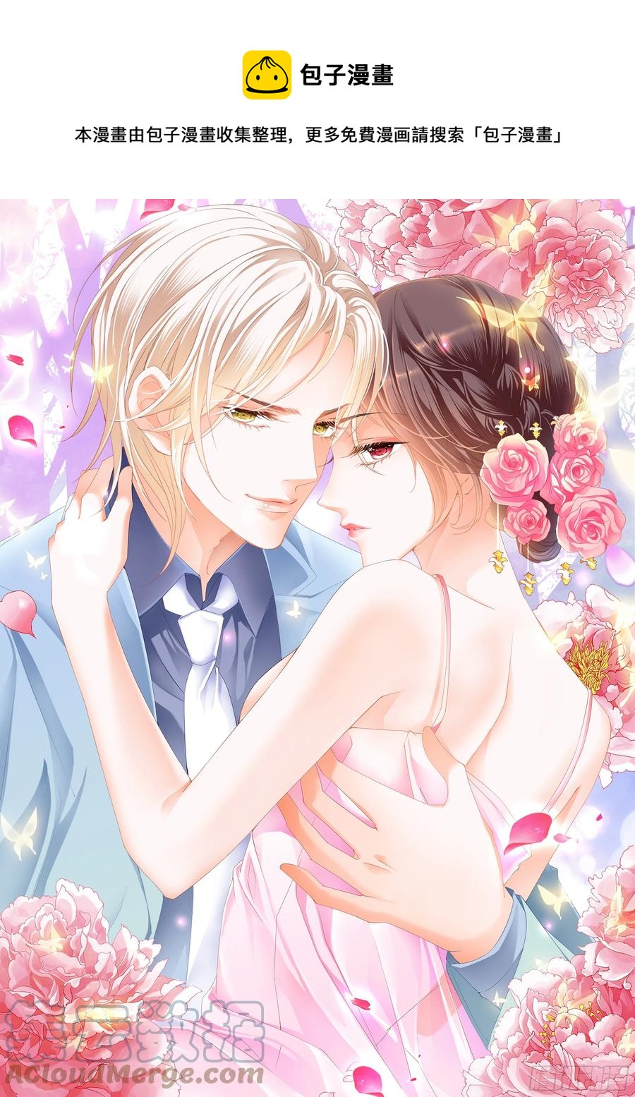 《闪婚娇妻》315 遭遇危险 第1页