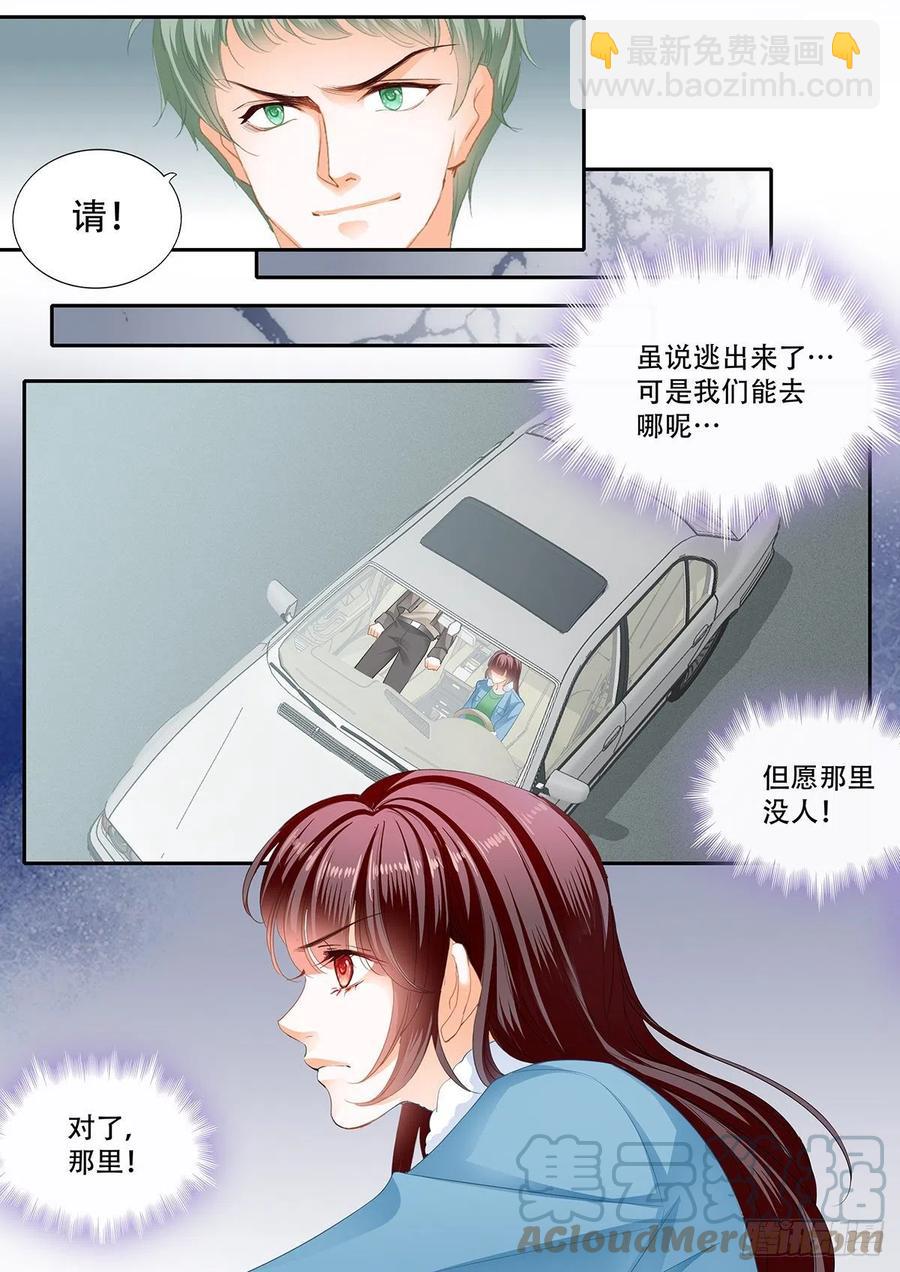 《闪婚娇妻》322 你快醒醒 第11页