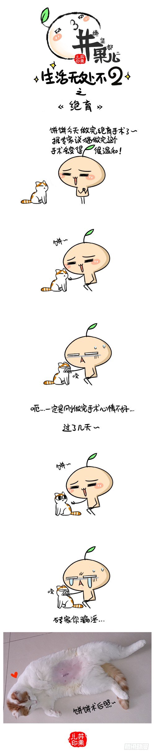 《井果儿》265.训练有素/266.绝育 第2页