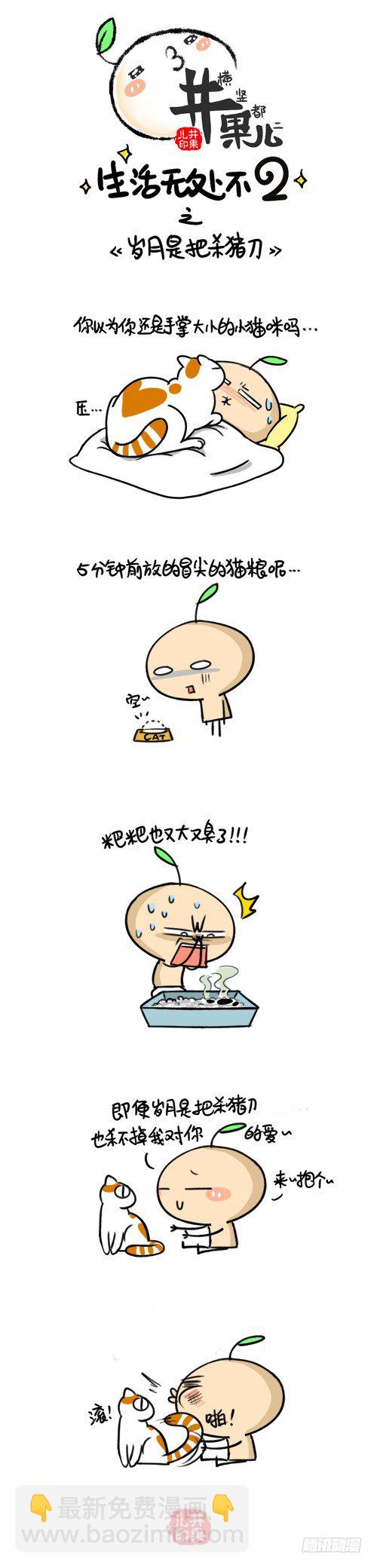 《井果儿》311.杯具/312.时间是把杀猪刀 第2页
