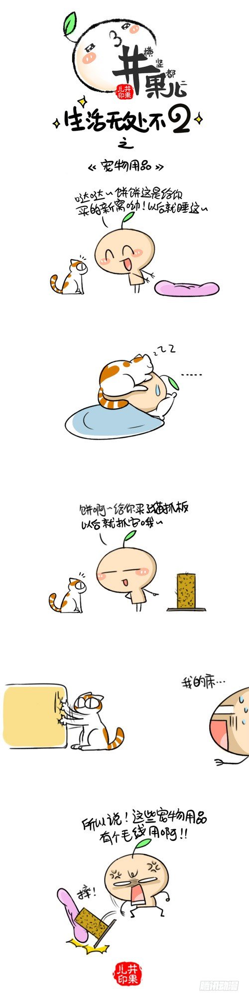 《井果儿》335.领养/336.宠物用品 第2页