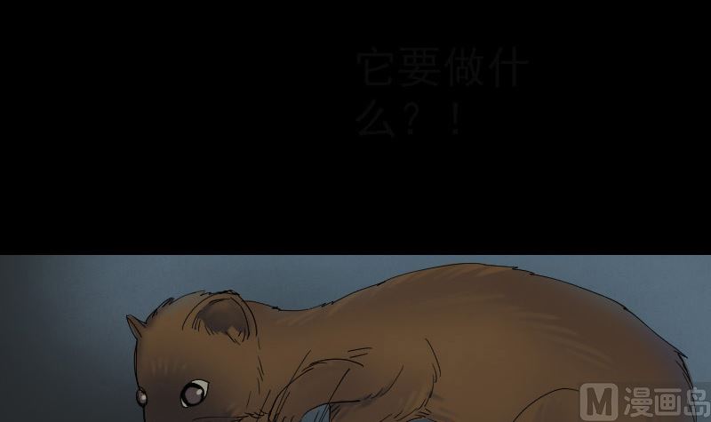 《天降横祸》第47话 沦为食物 第45页