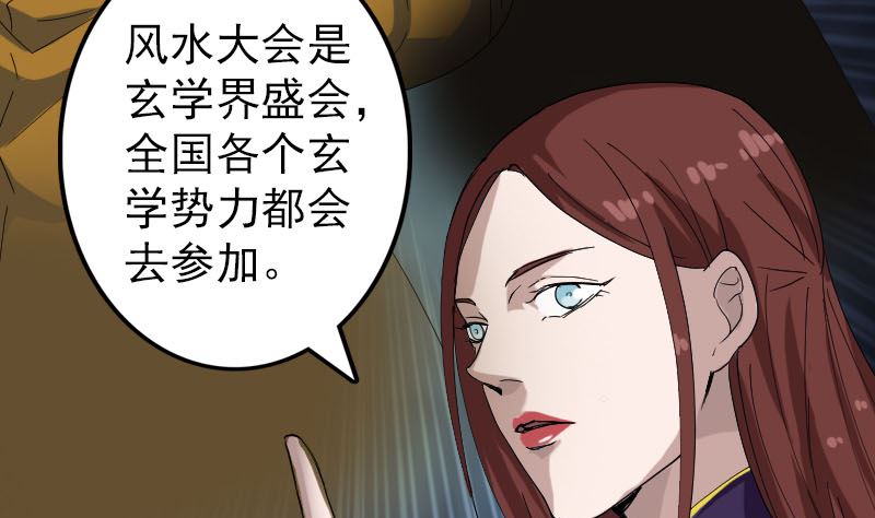 《天降横祸》第69话 玄学界盛会 第8页