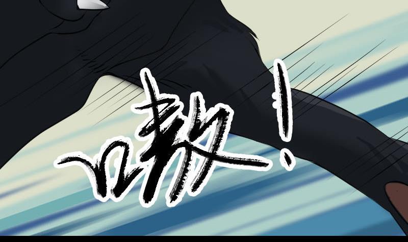 《天降横祸》第77话 取你狗命 第38页