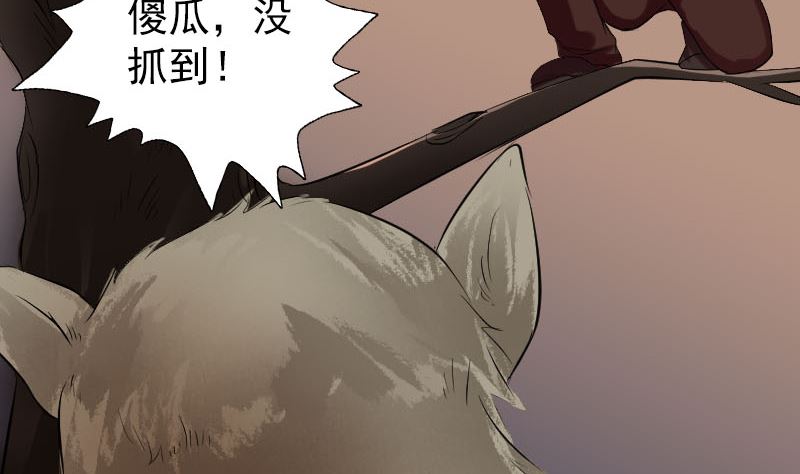 《天降横祸》第156话 智斗大马猴 第47页
