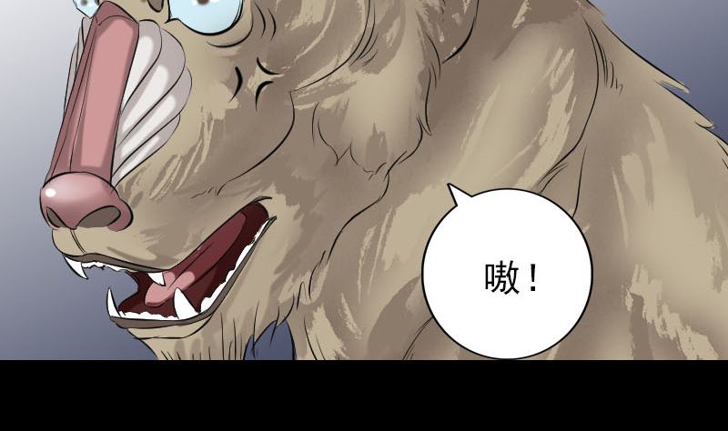 《天降横祸》第157话 寒冷的元凶 第11页