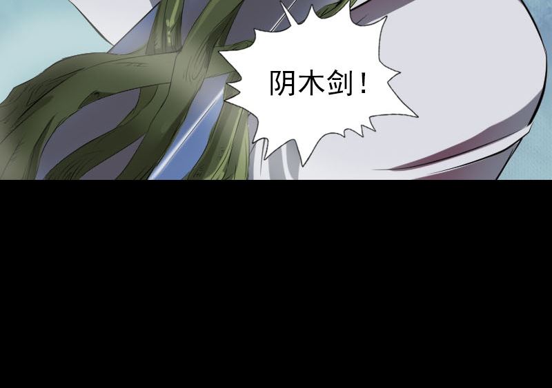 《天降横祸》第181回 金对木 第32页